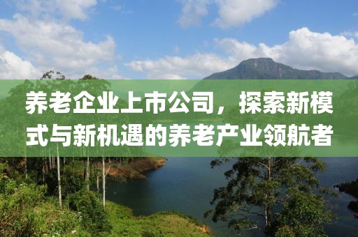 养老企业上市公司，探索新模式与新机遇的养老产业领航者