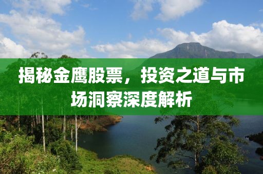 揭秘金鹰股票，投资之道与市场洞察深度解析