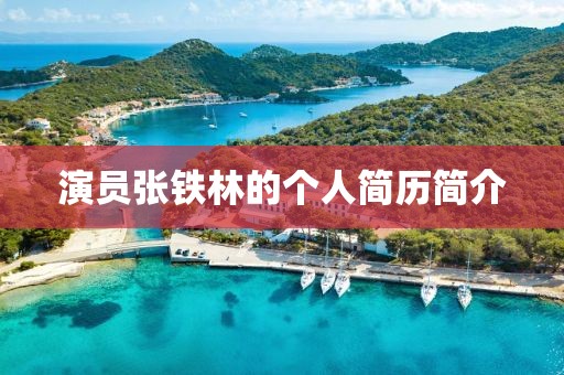 演员张铁林的个人简历简介