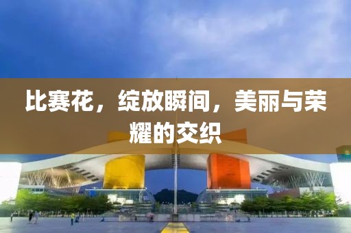 比赛花，绽放瞬间，美丽与荣耀的交织