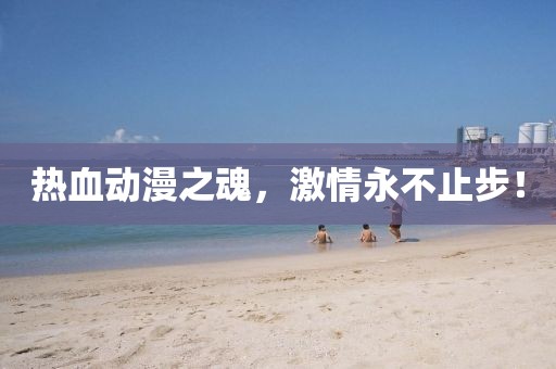 热血动漫之魂，激情永不止步！