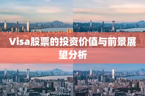 Visa股票的投资价值与前景展望分析