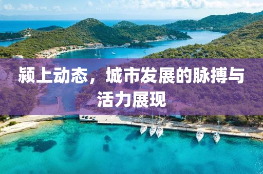 颍上动态，城市发展的脉搏与活力展现