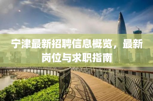 智能方案 第77页