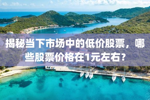 揭秘当下市场中的低价股票，哪些股票价格在1元左右？