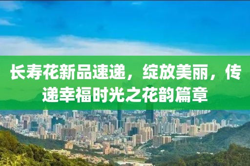 长寿花新品速递，绽放美丽，传递幸福时光之花韵篇章
