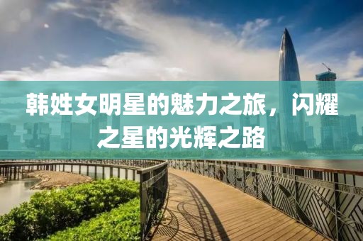 韩姓女明星的魅力之旅，闪耀之星的光辉之路