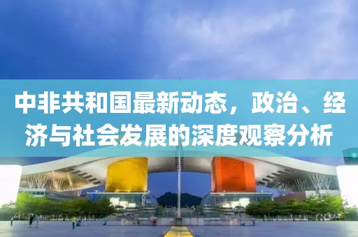中非共和国最新动态，政治、经济与社会发展的深度观察分析
