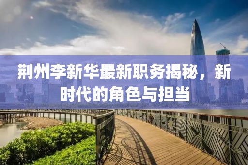 荆州李新华最新职务揭秘，新时代的角色与担当
