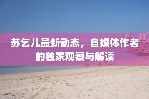 苏乞儿最新动态，自媒体作者的独家观察与解读