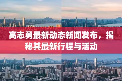 高志勇最新动态新闻发布，揭秘其最新行程与活动