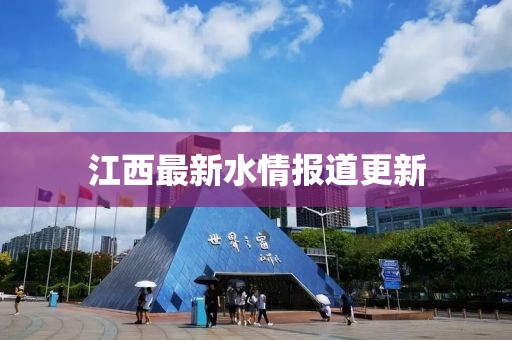 江西最新水情报道更新