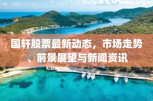 国轩股票最新动态，市场走势、前景展望与新闻资讯