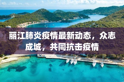 丽江肺炎疫情最新动态，众志成城，共同抗击疫情