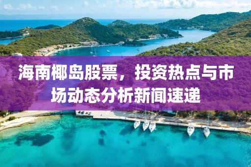 海南椰岛股票，投资热点与市场动态分析新闻速递