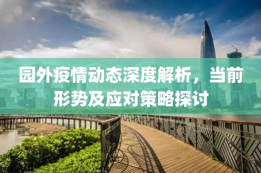 园外疫情动态深度解析，当前形势及应对策略探讨