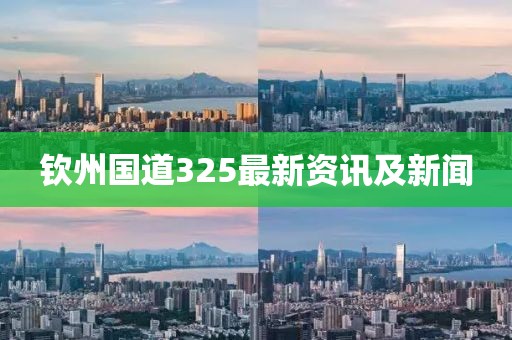 钦州国道325最新资讯及新闻