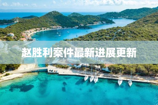 赵胜利案件最新进展更新