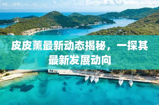皮皮薰最新动态揭秘，一探其最新发展动向