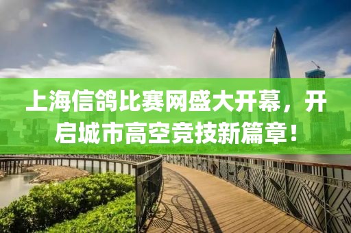 上海信鸽比赛网盛大开幕，开启城市高空竞技新篇章！