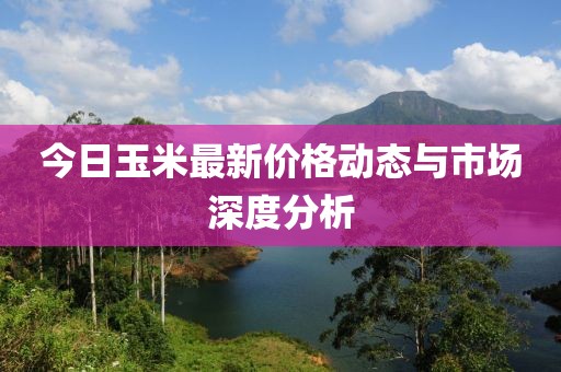 今日玉米最新价格动态与市场深度分析