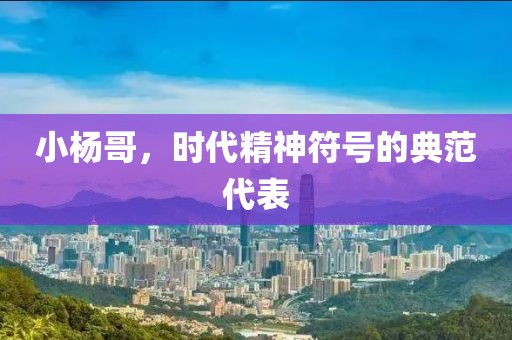 小杨哥，时代精神符号的典范代表