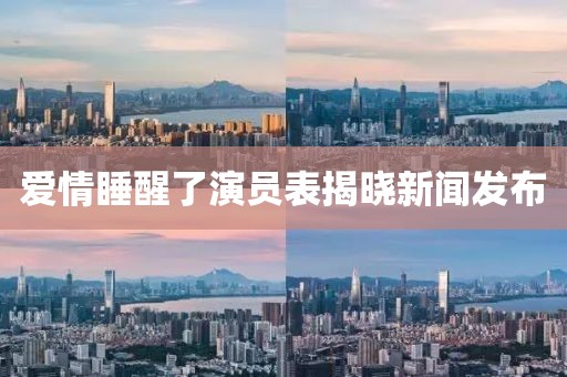 爱情睡醒了演员表揭晓新闻发布