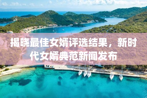 揭晓最佳女婿评选结果，新时代女婿典范新闻发布