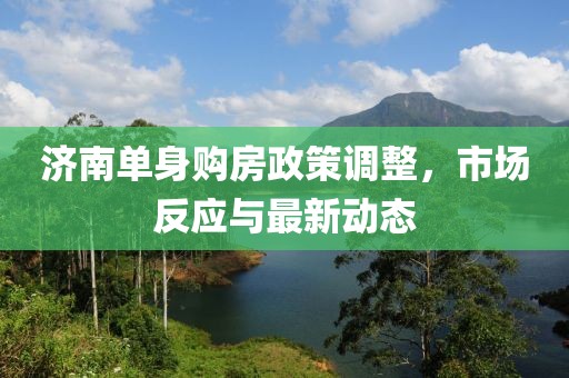 济南单身购房政策调整，市场反应与最新动态
