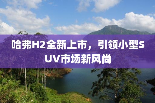 哈弗H2全新上市，引领小型SUV市场新风尚