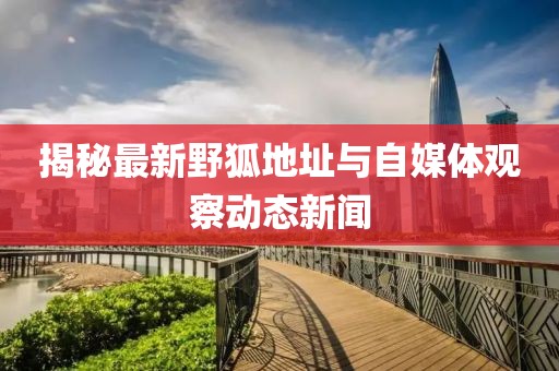 揭秘最新野狐地址与自媒体观察动态新闻