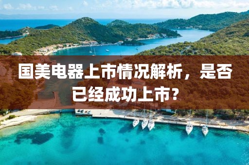 国美电器上市情况解析，是否已经成功上市？