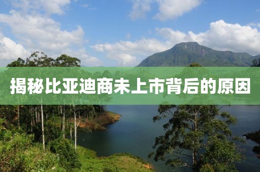 揭秘比亚迪商未上市背后的原因