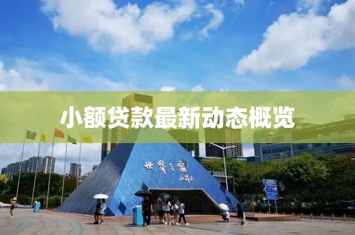 小额贷款最新动态概览