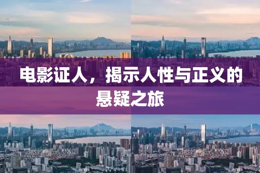 电影证人，揭示人性与正义的悬疑之旅