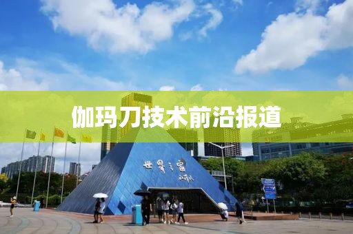 伽玛刀技术前沿报道