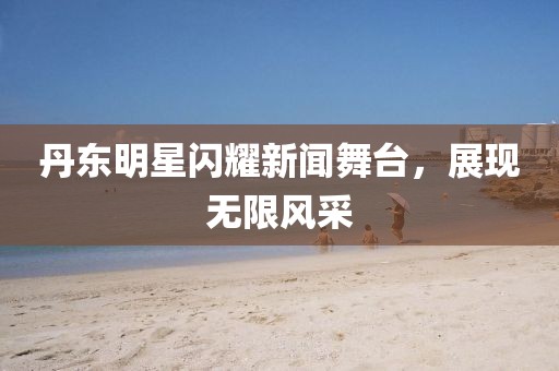 丹东明星闪耀新闻舞台，展现无限风采