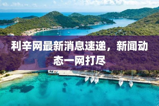利辛网最新消息速递，新闻动态一网打尽
