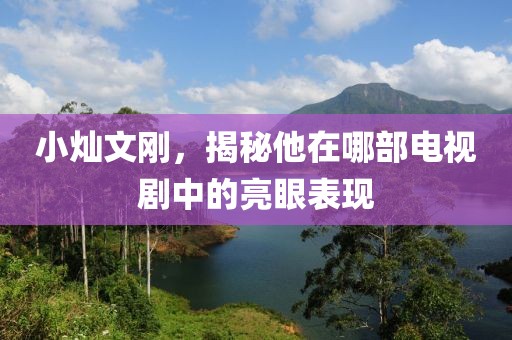 小灿文刚，揭秘他在哪部电视剧中的亮眼表现