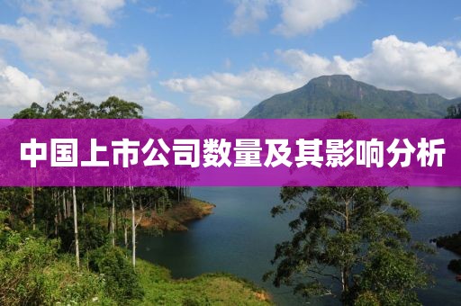 中国上市公司数量及其影响分析