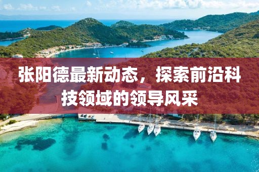 张阳德最新动态，探索前沿科技领域的领导风采