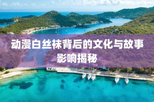 动漫白丝袜背后的文化与故事影响揭秘