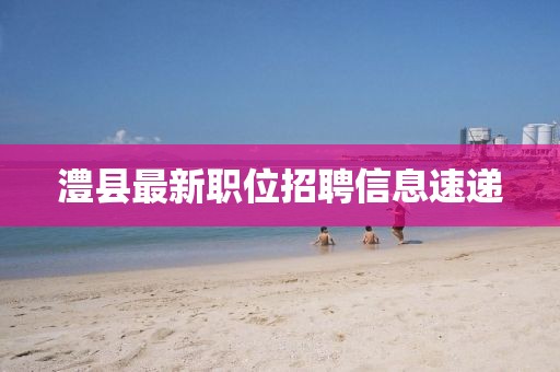 澧县最新职位招聘信息速递