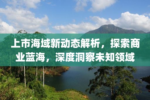 上市海域新动态解析，探索商业蓝海，深度洞察未知领域