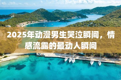 2025年动漫男生哭泣瞬间，情感流露的最动人瞬间