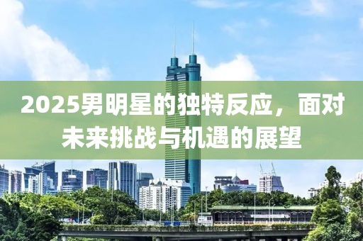 2025男明星的独特反应，面对未来挑战与机遇的展望