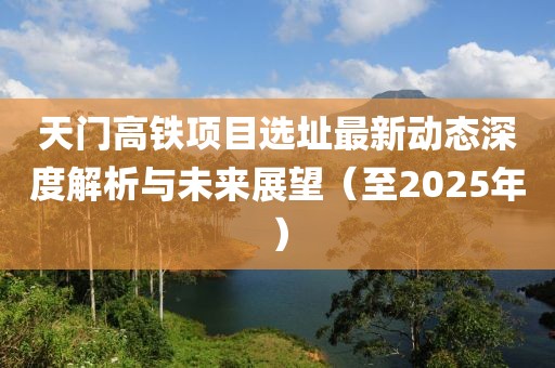 天门高铁项目选址最新动态深度解析与未来展望（至2025年）