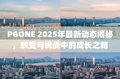 PGONE 2025年最新动态揭秘，蜕变与挑战中的成长之路