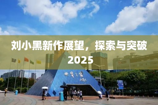 刘小黑新作展望，探索与突破 2025