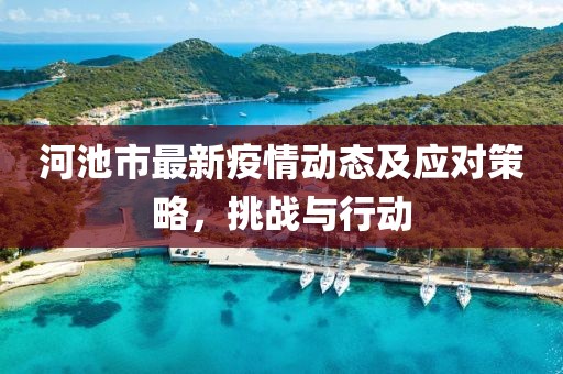 河池市最新疫情动态及应对策略，挑战与行动